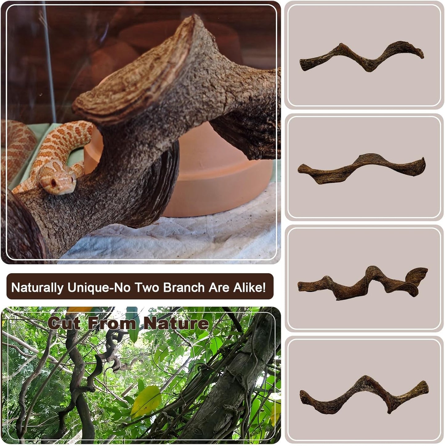 BNOSDM 4Pcs Reptile Climbing Branches Decor,Snake Climbing Branch,Gecko Climb Wood,Lizard Forest Branch,Tank Habitat Tree Trunk Decorations for Bearded Dragons,Chameleons,Spider,Frogs (S)