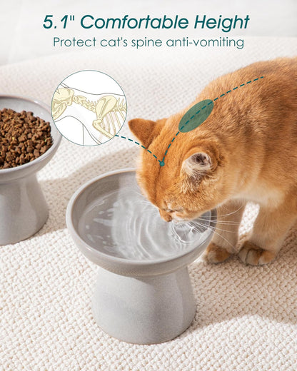 vancasso Ceramic Elevated Cat Bowls 2-Pack - 6.2" Extra Wide Raised Cat Food & Water Dishes, 5.1" Optimal Height Anti-Whisker Fatigue Shallow Bowls for Cats/Kittens/Dogs, Lead & Cadmium Free (Grey)