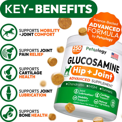 Glucosamine for Dogs. Chosen for real quality, fits naturally into modern pet homes.