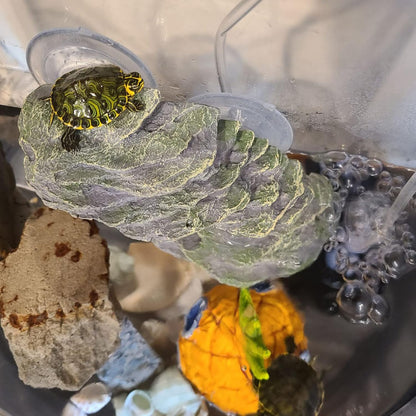 kathson Turtle Basking Platform with Suction Cup Tortoise Climbing Rest Terrace Resin Step Decoration Reptile Habitat Rock Decor for Frogs,Lizards,Geckos,Bearded Dragon-L