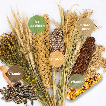 Natural Ear of Grain Flower&Herb Bedding Mate Habitat Decor, Adding Fun Hamster Accessories for Hamsters Gerbils Lemming