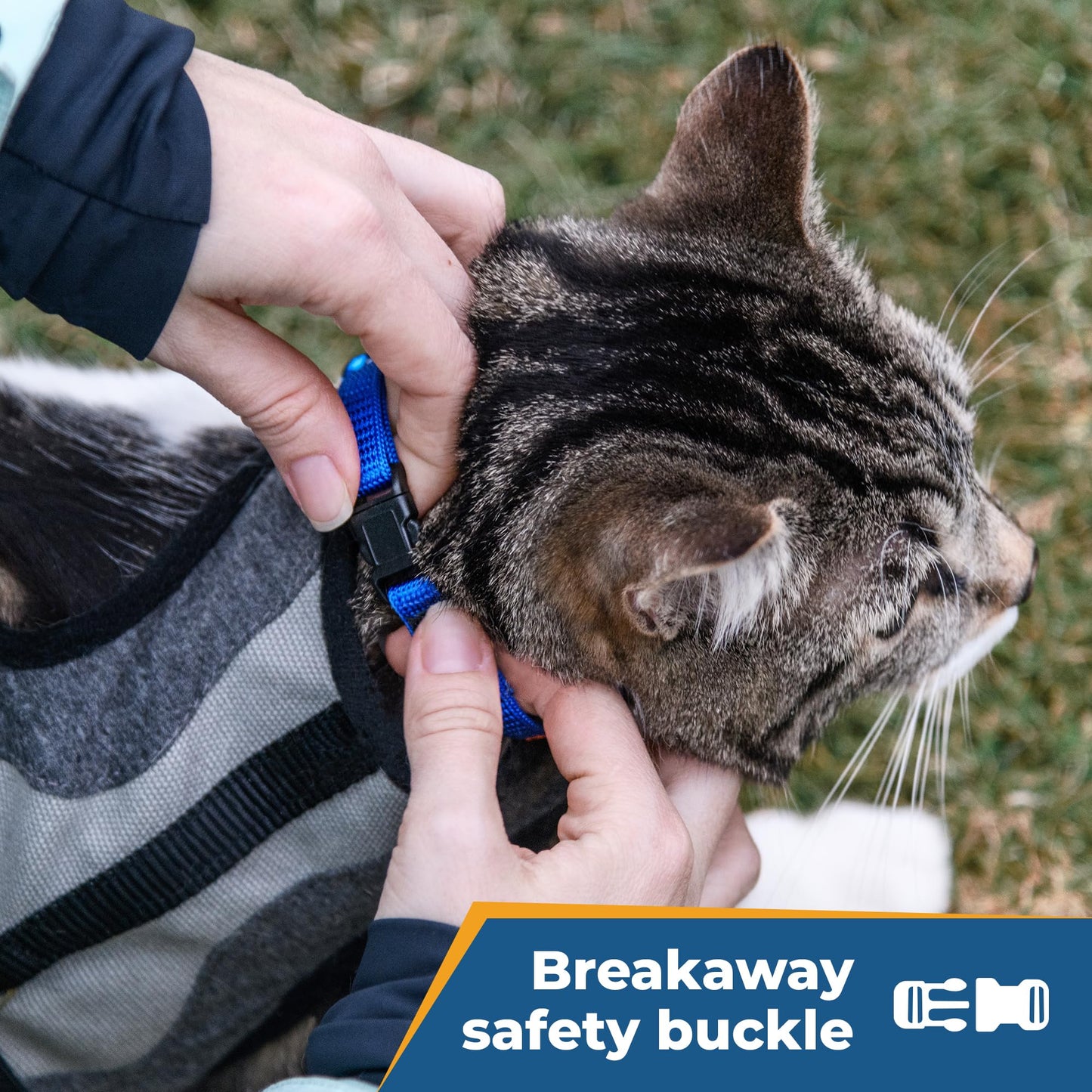 GoTags Personalized Cat Collars with Breakaway Safety. Chosen for real quality, fits naturally into