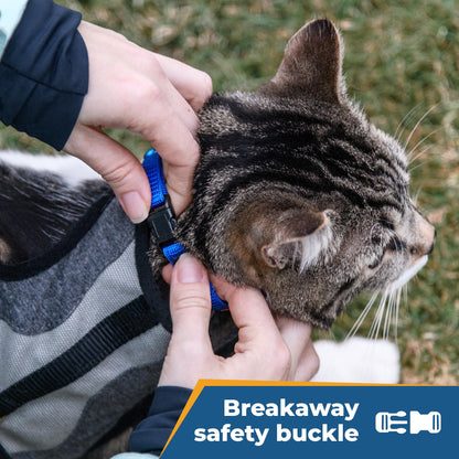 GoTags Personalized Cat Collars with Breakaway Safety. Chosen for real quality, fits naturally into