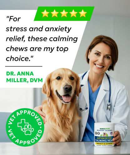 Hemp Calming Treats for Dogs. Chosen for real quality, fits naturally into modern pet homes.