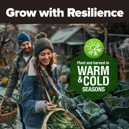 HOME GROWN 𝗨𝗦𝗔 𝗣𝗥𝗘𝗠𝗜𝗨𝗠 10 Variety Vegetable 2,000+ 𝗡𝗢𝗡-𝗚𝗠𝗢 Seeds (Kale Lettuce Tomato Broccoli Beans Peas Bell Peppers Carrot Cucumber Radish) – Indoor & Outdoor Garden Survival Seeds