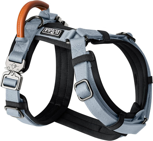 MADE TO ROAM Premium Explorer Harness - Y-Shaped Dog Harness with Adjustable Durable Nylon, Soft Padding, Metal Buckles and Leather Handle for Small, Medium, Large Dogs (Virginia Mountains, Size 5)