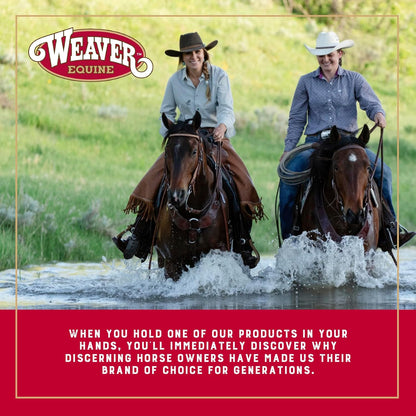 Weaver Equine Breakaway Horse Halter, Comfort Foam Padding, Adjustable Chin & Throat Snap Halters for Horses, Equine Tack,Average Size