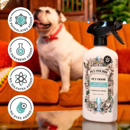 Pet. Chosen for real quality, fits naturally into modern pet homes.