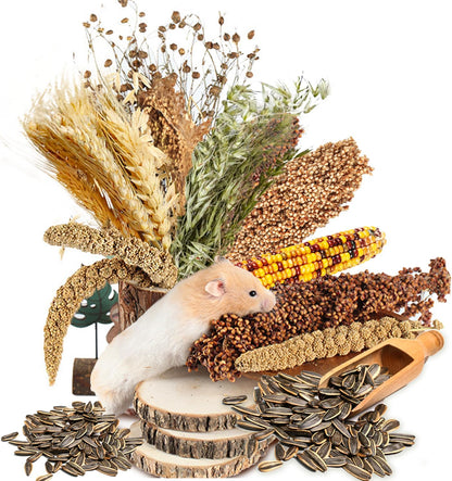 Natural Ear of Grain Flower&Herb Bedding Mate Habitat Decor, Adding Fun Hamster Accessories for Hamsters Gerbils Lemming