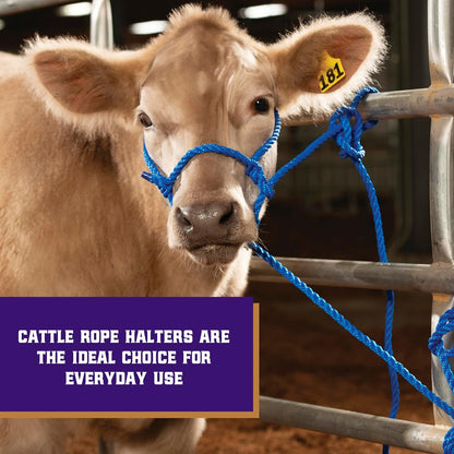 Weaver Leather Livestock Cattle Poly Rope Halter Black