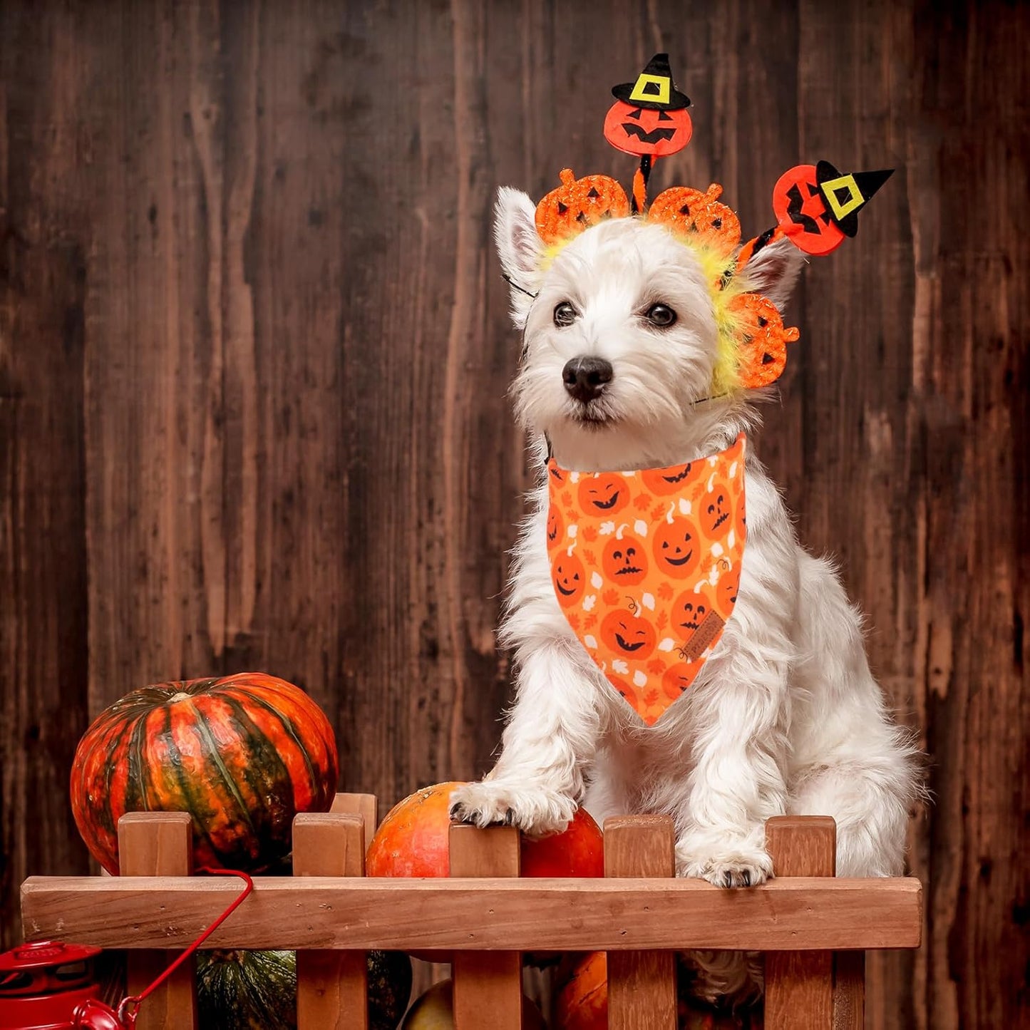 PTDECOR Halloween Dog Bandana, Reversible Holiday Pet Scarf, Multi Size, Triangle Puppy Halloween Bandanas for Small Dogs Puppies Cats (Black & Orange, Small)