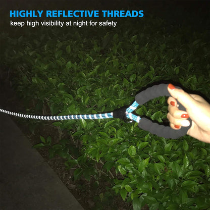 Heavy Duty Dog Leash - Comfortable Padded Handle, 5 ft Long - Dog Leashes for Small Medium Large Dogs (Leash+Collar XS Neck 10.5"-13.5", Blue)