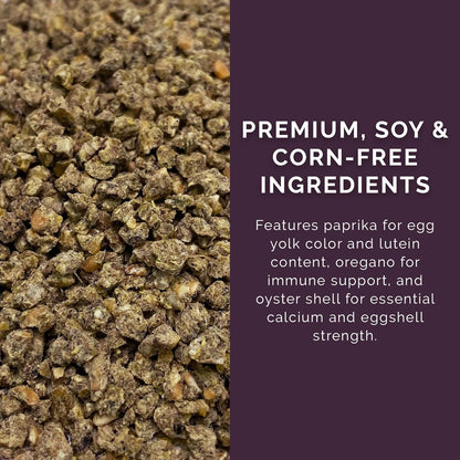 Layer Crumb Feed, 40lbs - Non-GMO, High-Protein Poultry Feed for Healthy Hens & Nutritious Eggs, 17.5% Protein - USDA Certified Organic Blend, Soy & Corn-Free