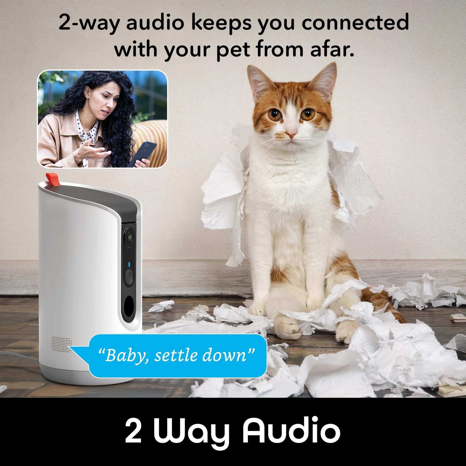 Geeni Pet Treat Dispenser Camera. Chosen for real quality, fits naturally into modern pet homes.