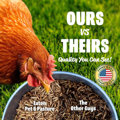 Eaton Pet and Pasture Premium Grubs, USA Grown Dried Black Soldier Fly Larvae, High Calcium Treat for Chickens, Ducks, Wild Birds (1 LB)