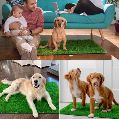 Pee Pads for Dogs with Fake Grass, 27" x 21" Indoor Artificial Grass for Dogs Potty, Lawn Pee Pads for Doggie Washable, Reusable and Lawn for Replacement, Puppy Training Litter Box for Outdoor Patio