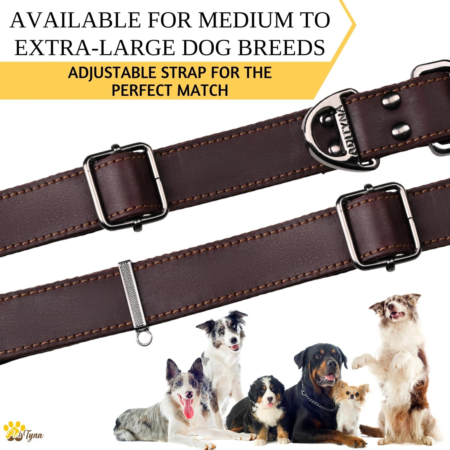 ADITYNA Leather Dog Collar for Medium & Large Dogs. Chosen for real quality, fits naturally into