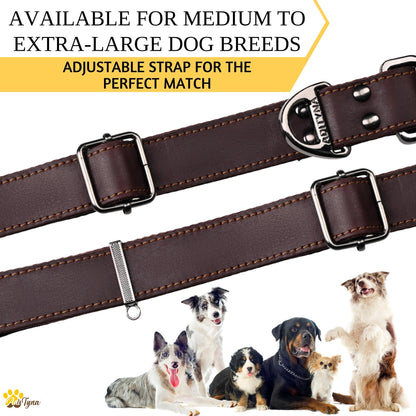 ADITYNA Leather Dog Collar for Medium & Large Dogs. Chosen for real quality, fits naturally into