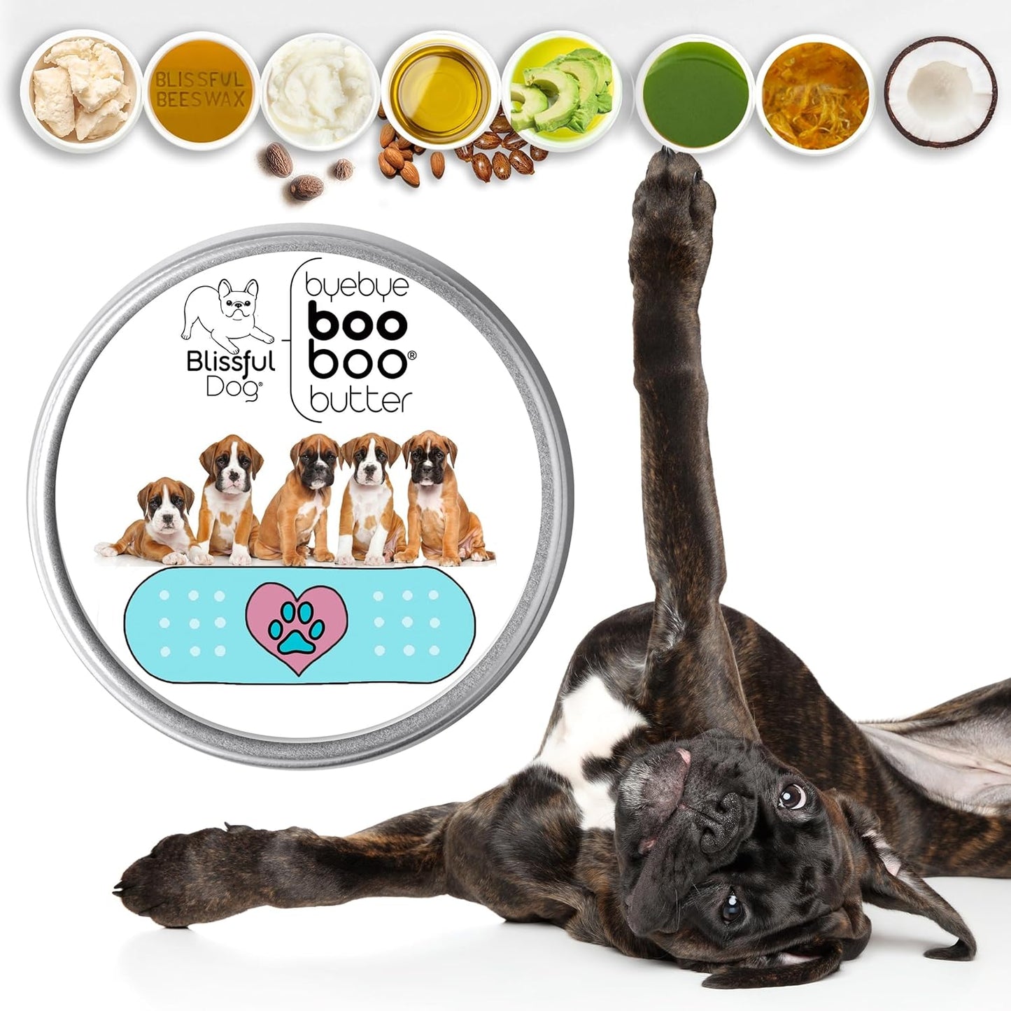 The Blissful Dog 8 oz TIN Boxer Booboo Butter