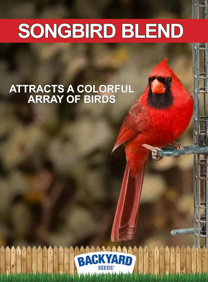 Backyard Seeds Songbird Blend Bird Seed Great Variety (14 Pounds)