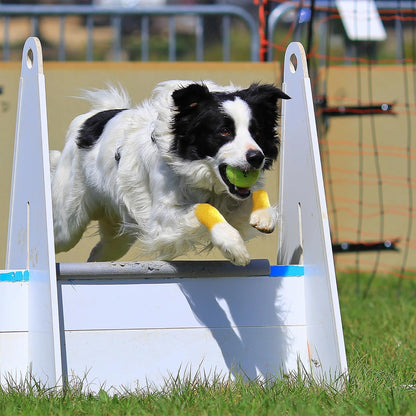PetFlex Color Pack – Flexible Self-Adhering Elastic Bandage for Wound Care – First Aid Wrap for Small Animals Like Dogs, Cats, and Other Pets - 2 inch, 6 Rolls