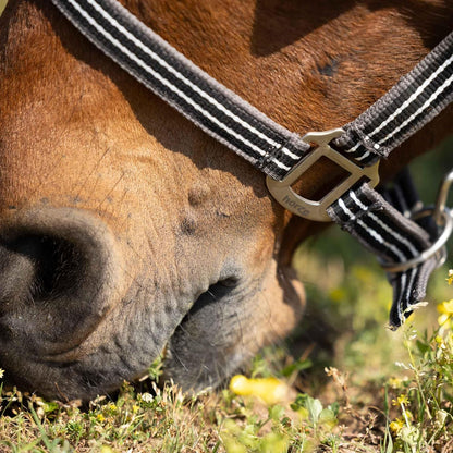 HORZE Adepto Adjustable Horse Halter | Soft, Durable Polyester - Dark Navy - Cob
