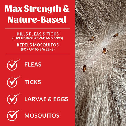 Skout's Honor Flea and Tick Shampoo for Dogs - Natural Peppermint & Cedarwood Formula, Helps to Protect from and Against Fleas, Ticks, and Mosquitos, 16 oz