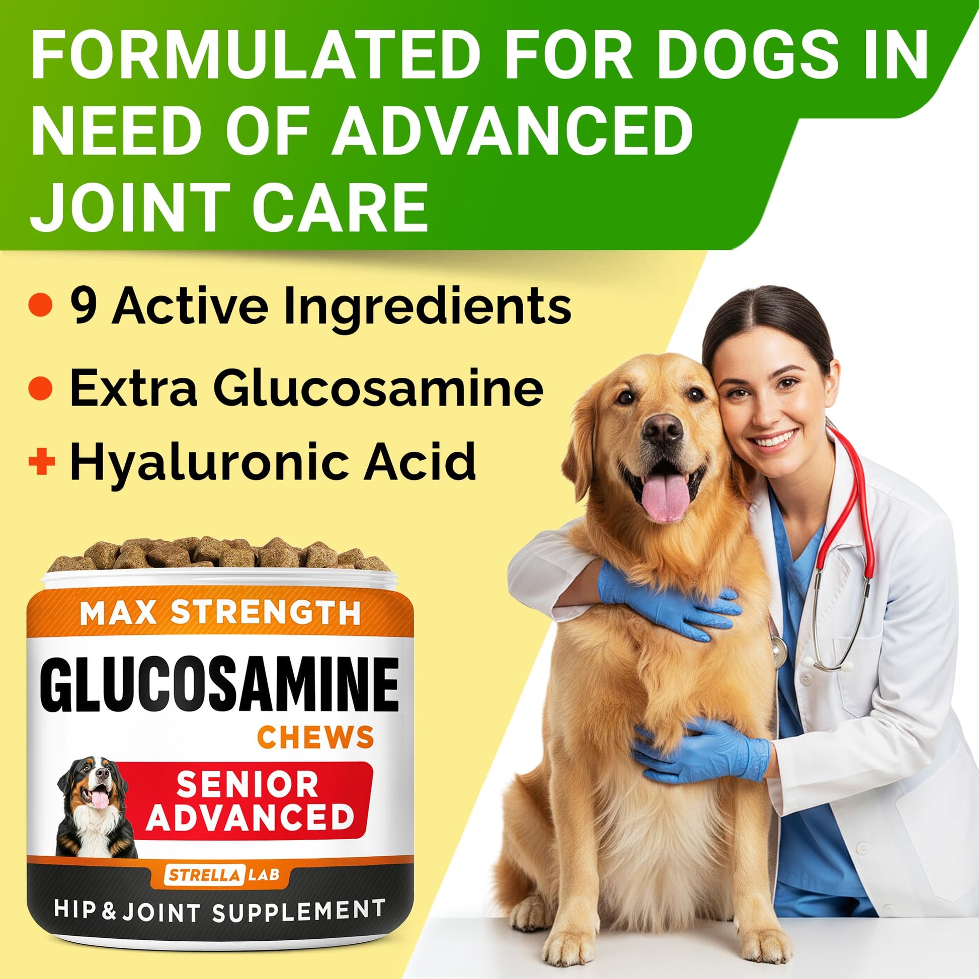 Advanced Glucosamine for Dogs. Chosen for real quality, fits naturally into modern pet homes.