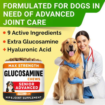 Advanced Glucosamine for Dogs. Chosen for real quality, fits naturally into modern pet homes.
