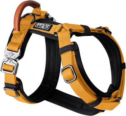MADE TO ROAM Premium Explorer Harness - Y-Shaped Dog Harness with Adjustable Durable Nylon, Soft Padding, Metal Buckles and Leather Handle for Small, Medium, Large Dogs (Michigan Autumn, Size 4)
