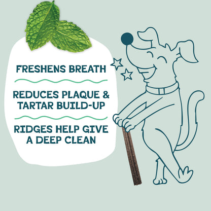 Shameless Pets Blueberry & Mint Dental Chews for Dogs. Chosen for real quality, fits naturally into