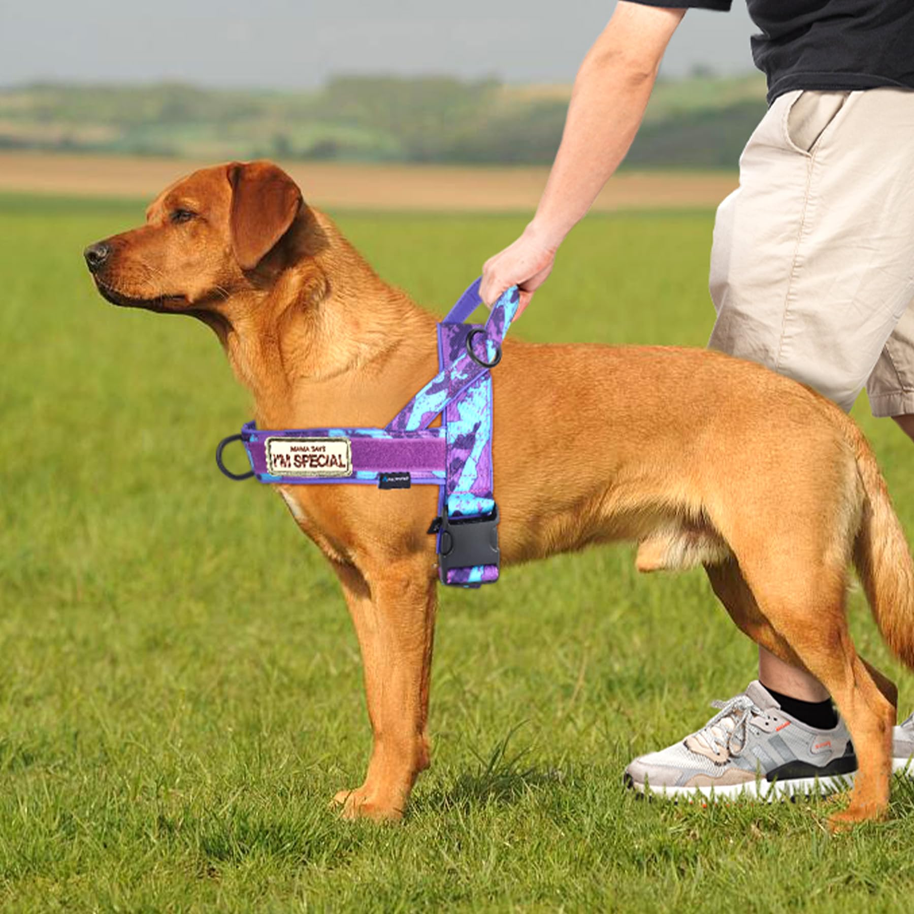 Annchwool No Pull Dog Harness with Soft Padded Handle. Chosen for real quality, fits naturally into
