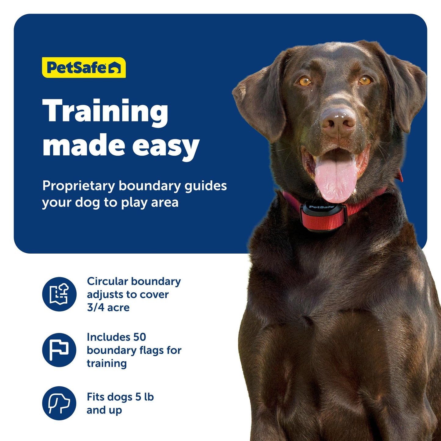 PetSafe Stay & Play 2. Chosen for real quality, fits naturally into modern pet homes.