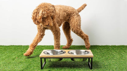 Mango Wood Dog Bowl Stand - Elevated Pet Feeder with 2 Stainless Steel Bowls - Raised Food and Water Dish Set for Dogs and Cats, Available in 4 Sizes, Pet Dining Station, Small/10oz