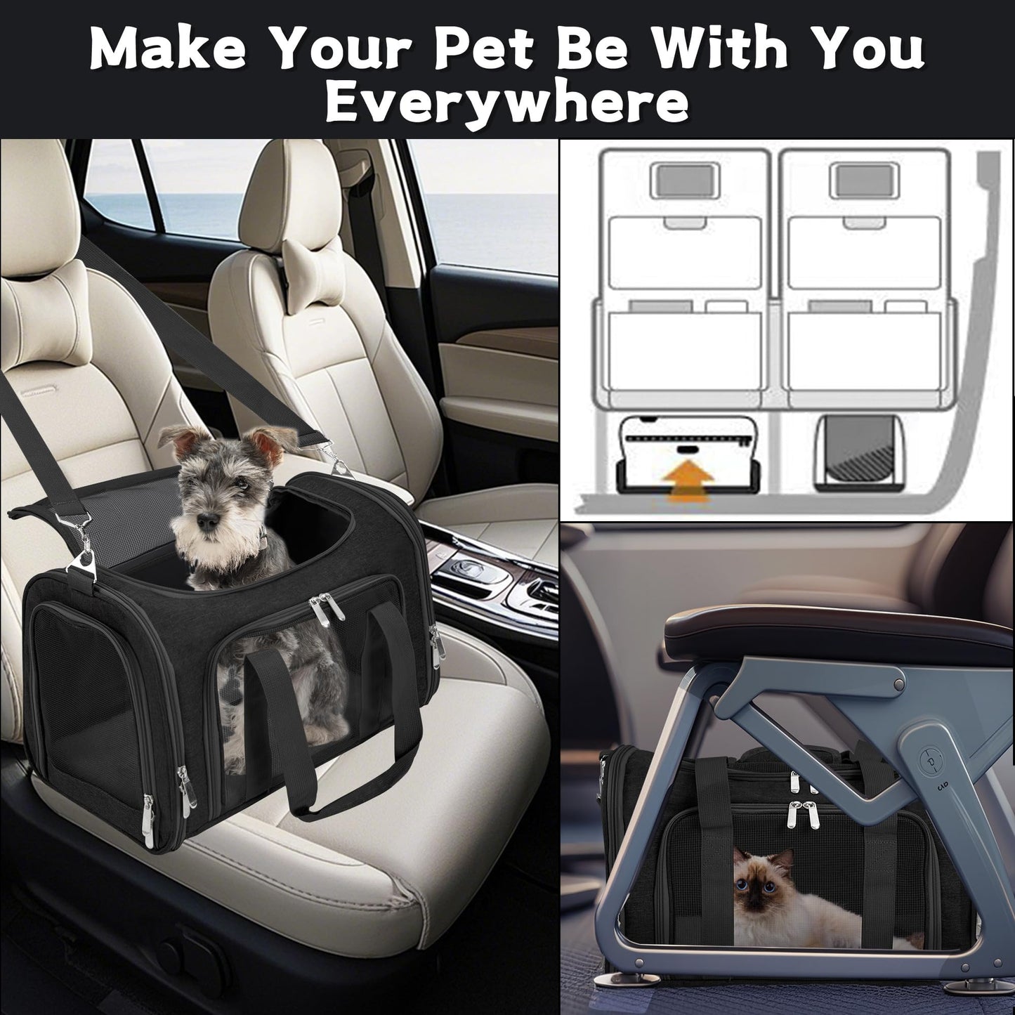 LEHNI Soft. Chosen for real quality, fits naturally into modern pet homes.