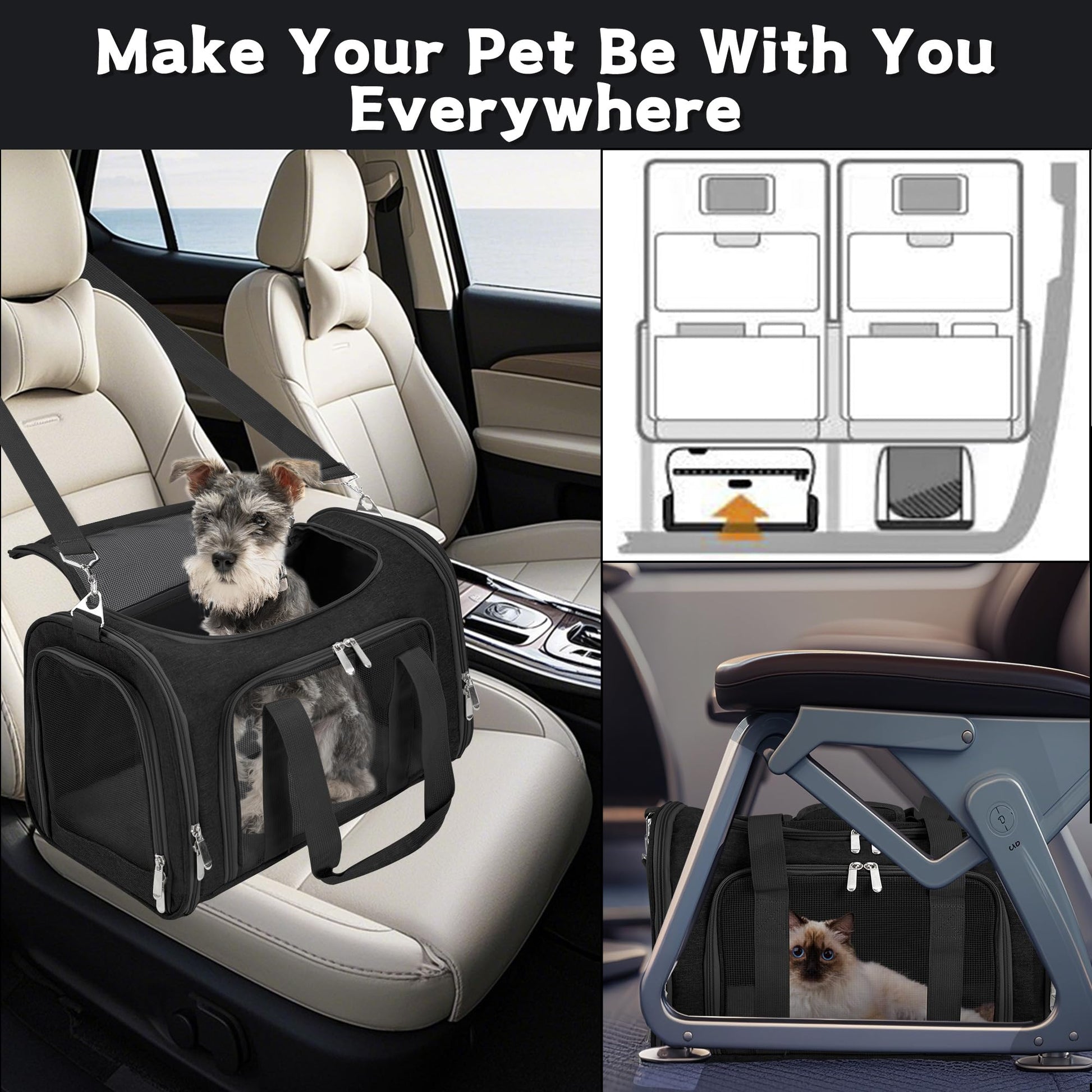 LEHNI Soft. Chosen for real quality, fits naturally into modern pet homes.
