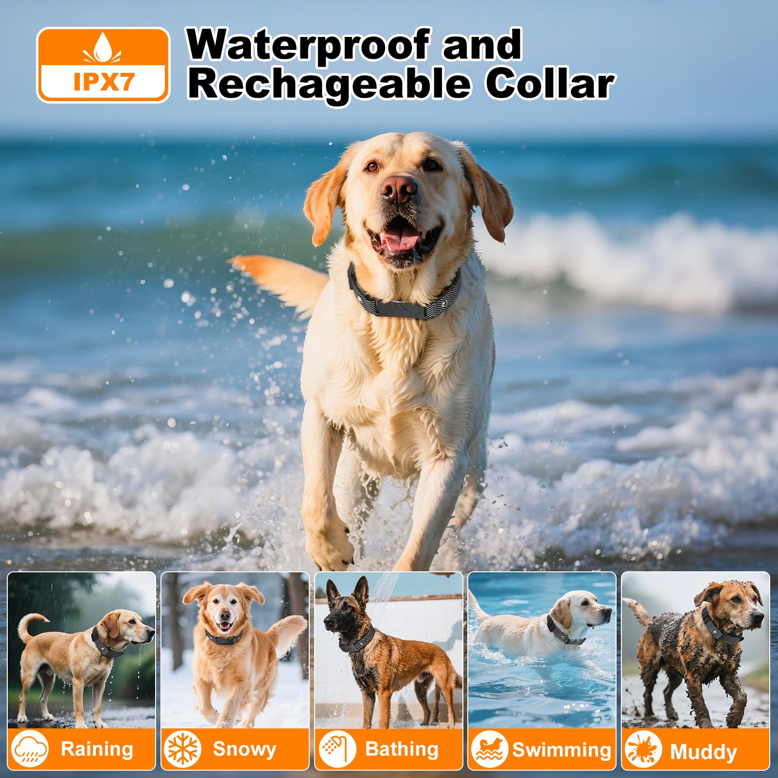 Ecoluminor Wireless Dog Fence System. Chosen for real quality, fits naturally into modern pet homes.