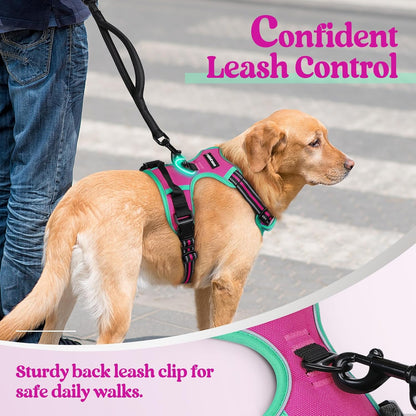 rabbitgoo Dog Harness No Pull with 2 Leash Clips, Adjustable Soft Padded, Reflective Oxford No Choke Pet Vest with Easy Control Handle for Large Dogs, Hot Pink & Turquoise, S