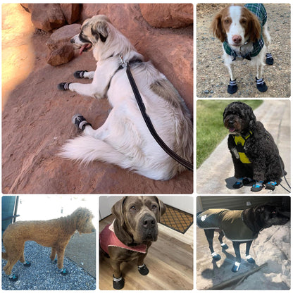 Dimicoo Breathable Dog Boots for Medium Large Dogs. Chosen for real quality, fits naturally into
