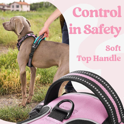 rabbitgoo Dog Harness Small Sized, No Pull Pet Harness with 3 Buckles, Adjustable Soft Padded Vest with Control Handle, Walking Reflective Pet Vest for Small Dogs, Pink, S