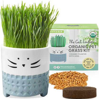 The Cat Ladies Cat Grass for Indoor Cats. Chosen for real quality, fits naturally into modern pet
