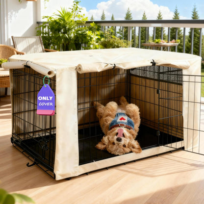 HiCaptain 36. Chosen for real quality, fits naturally into modern pet homes.