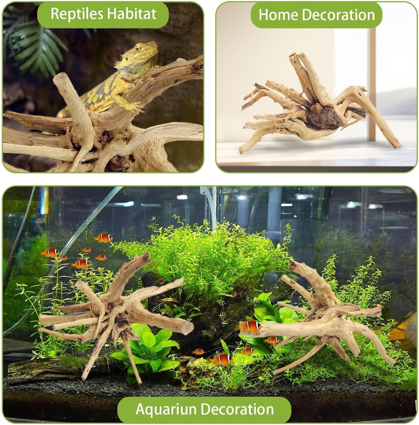 Tfwadmx Natural Driftwood for Aquarium, 11-13 inch Reptile Branches Terrarium Wood Aquarium Trunk Driftwood Tree Fish Tank Log Decoration Pack of 2