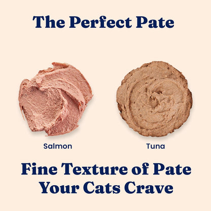 Solid Gold Wet Cat Food Pate in Coconut Oil - Healthy Canned Cat Food Pate w/Real Salmon, Omega Fatty Acids, Vitamins & Minerals - Grain Free & Gluten Free Canned Meals for Cats & Kittens - 24ct/3oz
