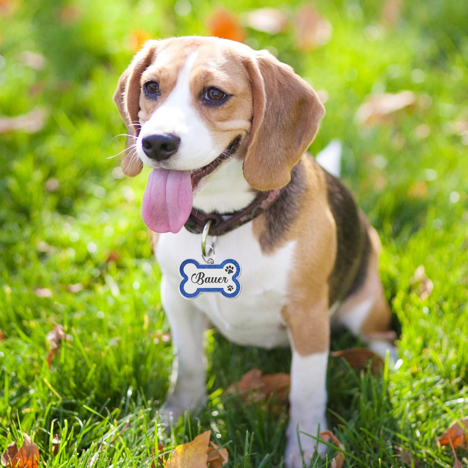 Dog Tags Personalized for Pets Dog Name Tags. Chosen for real quality, fits naturally into modern