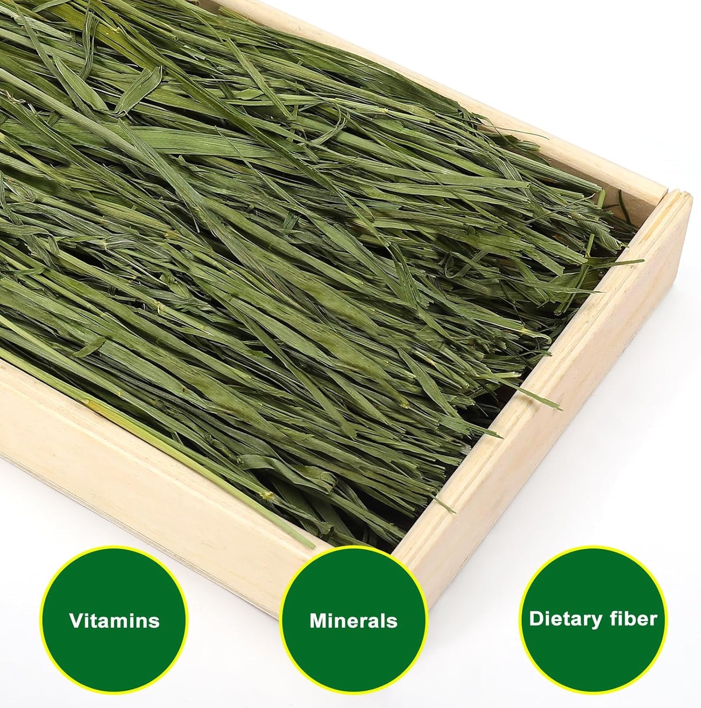 Premium Oat Hay for Pets - Dust Free Natural Green Fresh Pet Food Hay for Rabbits, Guinea Pigs, Chinchillas, Hamsters & Gerbils - 2.2lbs