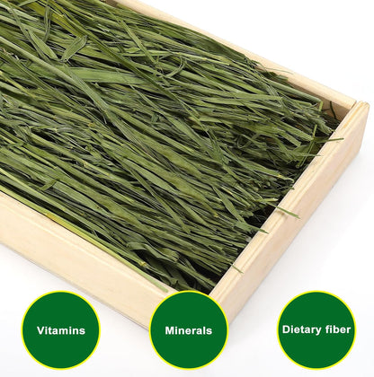 Premium Oat Hay for Pets - Dust Free Natural Green Fresh Pet Food Hay for Rabbits, Guinea Pigs, Chinchillas, Hamsters & Gerbils - 2.2lbs