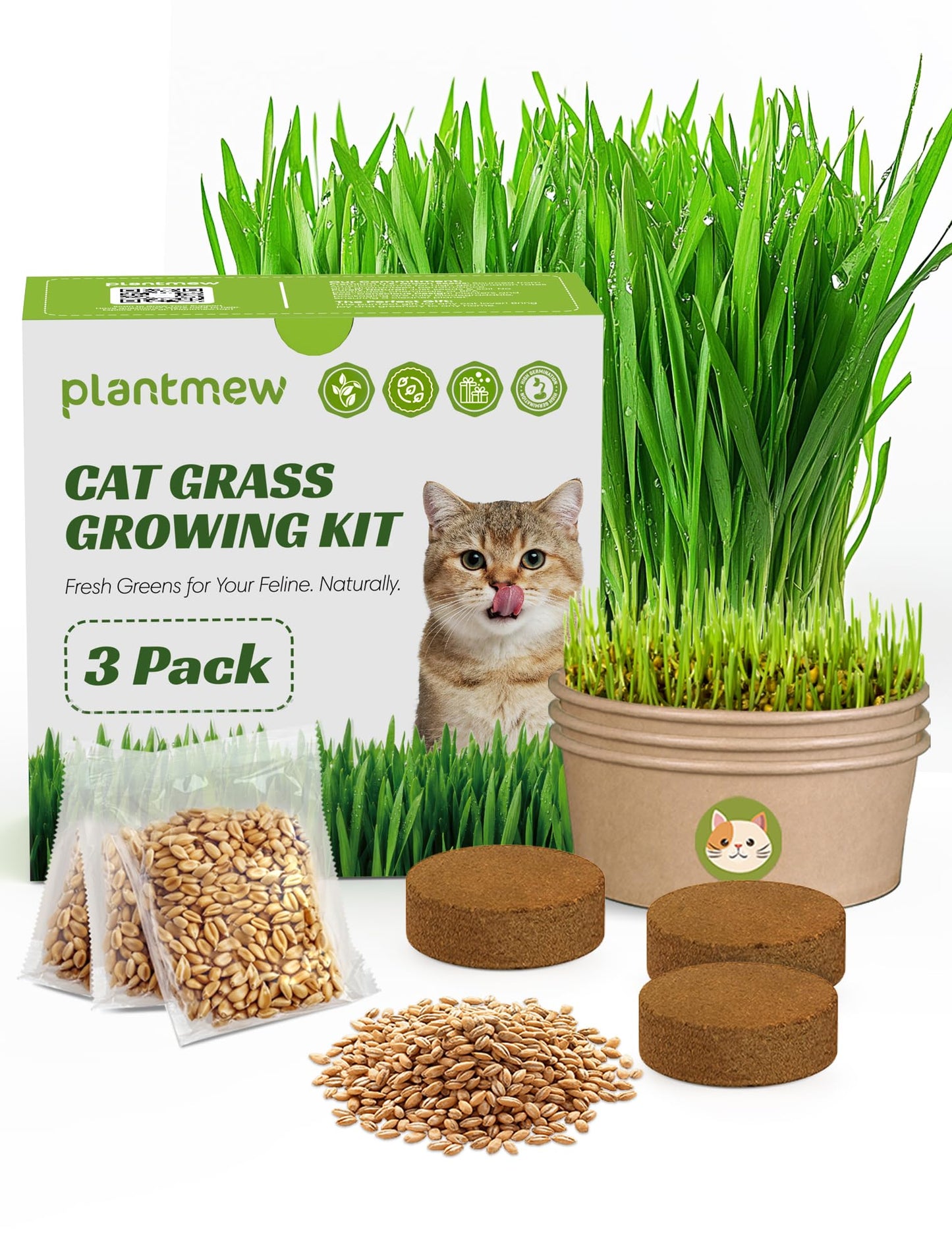 Cat Grass Kit for Indoor Cats. Chosen for real quality, fits naturally into modern pet homes.