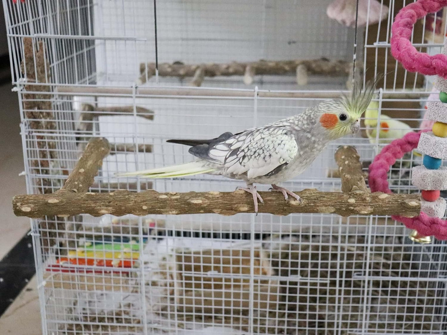 Large Natural Pepper Wood Parrot Stand Branch, Wooden Perch for Parakeet Cockatiels Conures Lovebirds Budgies, Birdcage Accessories 15.66.7 Inches