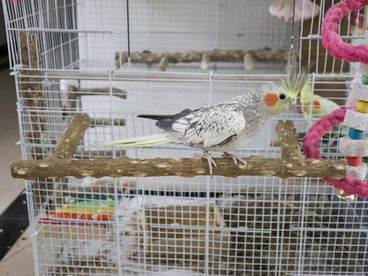 Large Natural Pepper Wood Parrot Stand Branch, Wooden Perch for Parakeet Cockatiels Conures Lovebirds Budgies, Birdcage Accessories 15.66.7 Inches